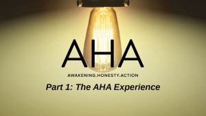 AHA - Part 1 - The AHA Experience