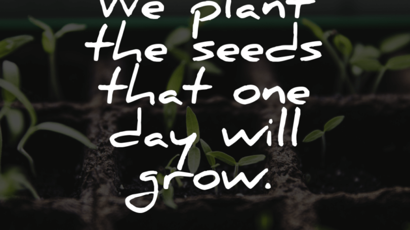 We-plant-the-seeds-that-one-day-will-grow.-1-1030x1030