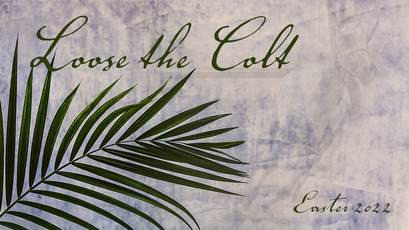 Easter 2022 - Palm Sunday - Loose the Colt