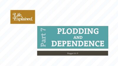 Life, Explained P7 - Plodding and Dependence