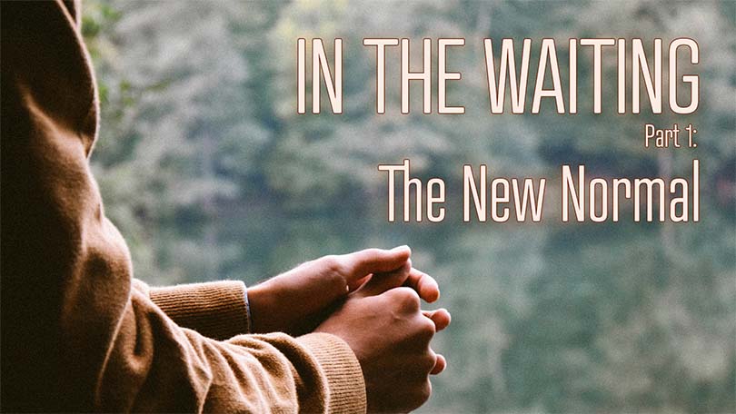 In the Waiting – Part 1: The New Normal. Small Group Curriculum 05.04.2025 - In The Waiting P1 - The New Normal