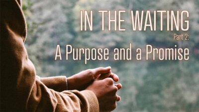 05.11.2025 - In The Waiting P2 - A Purpose and a Promise